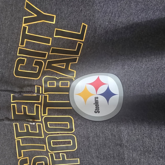 Pittsburgh Steelers Unisex Hoodie - Picture 2 of 4